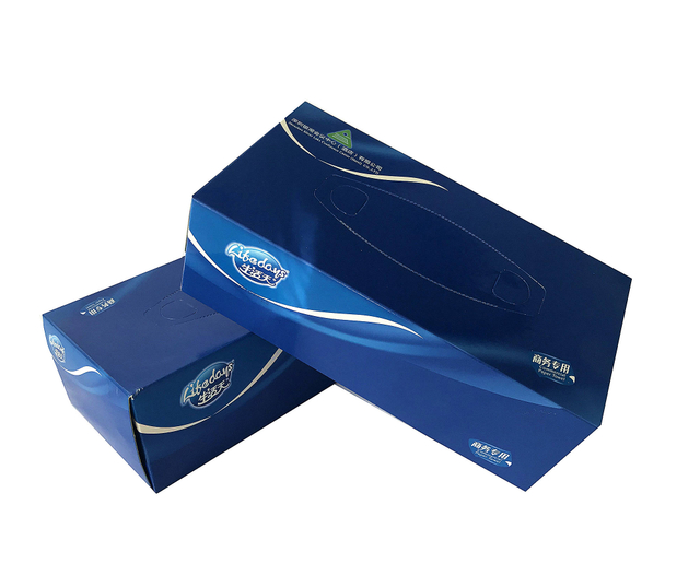 Best price for wholesaler Factory Direct paper custom facial soft tissues 2 ply 100box 30 boxescarton