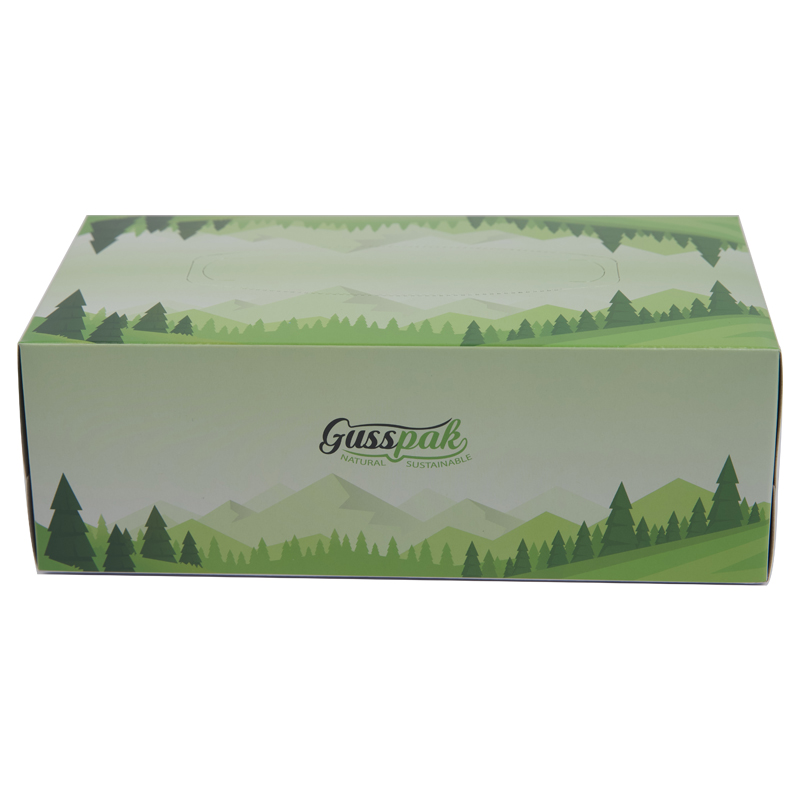Hot Sale with Pattern 2 Ply 19*20cm Facial Tissue Box for Home