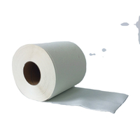 Absorbent Papers