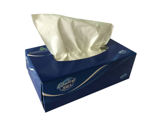 China Manufactured Newest High Quality Hot Sell Rushed 2 ply facial tissue nice tissue factory