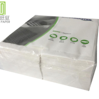 PAPER NAPKIN