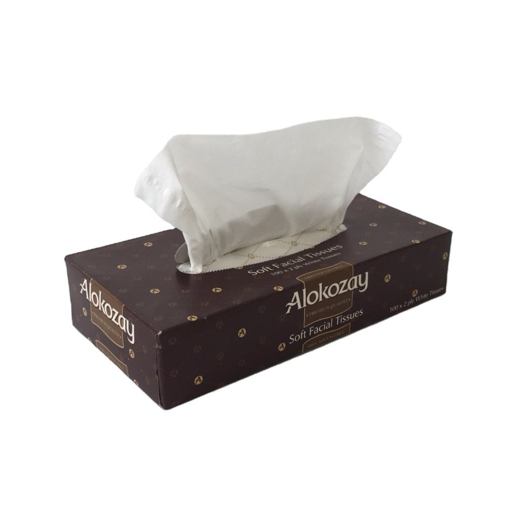 China professional New trend wholesales Good Quality tissue papel manufacturers facial tissue 2 ply
